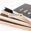 Sample – Form Basic Film Faced Plywood