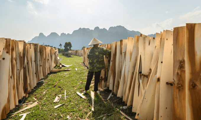 Vietnam suspects China hand in plywood export surge