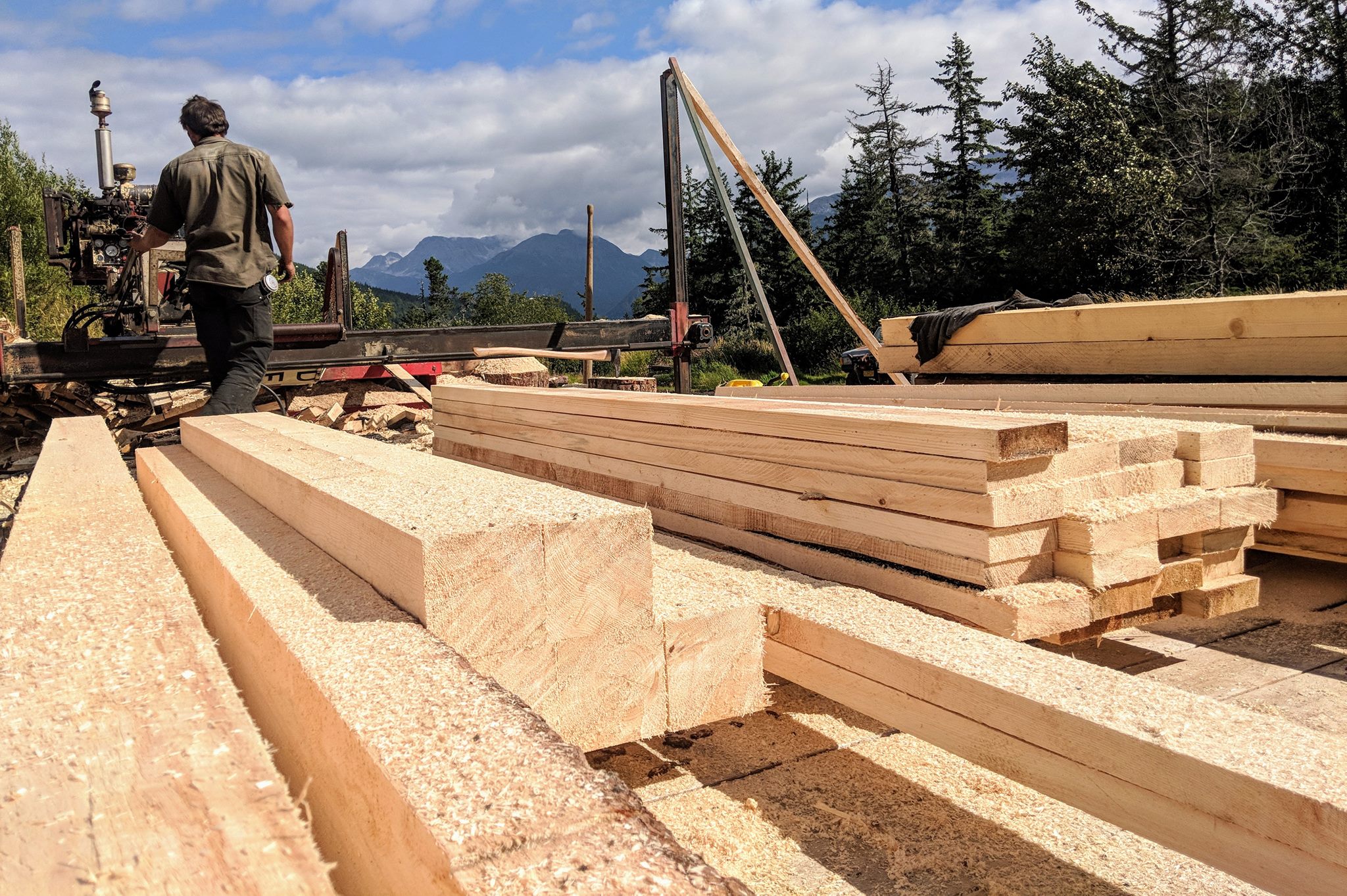 Lumber company plans $11 million investment at sawmill in Caroline County