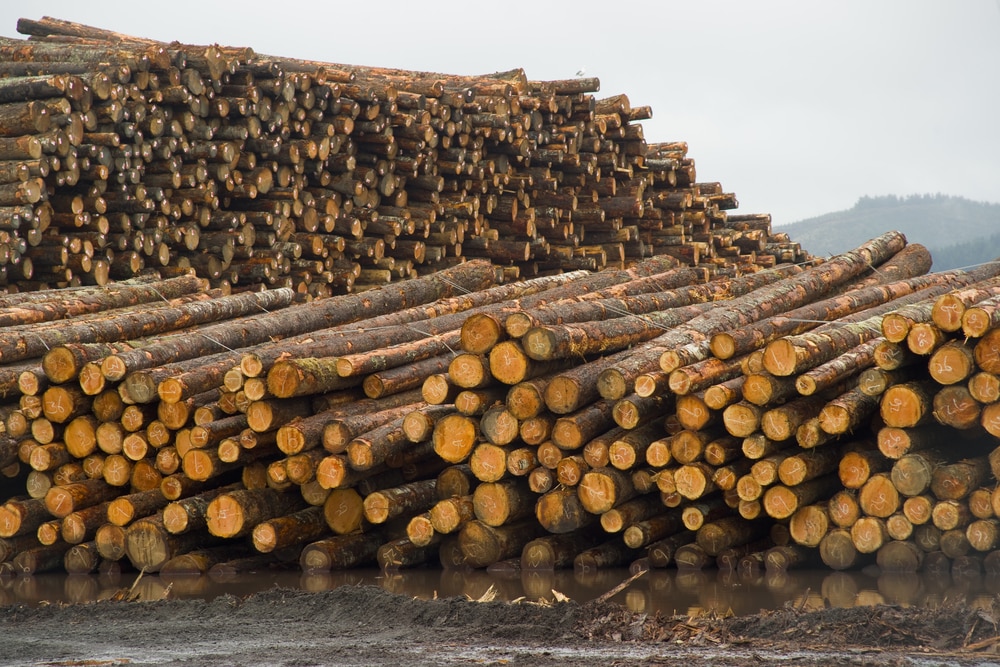 Softwood lumber prices drop in North America
