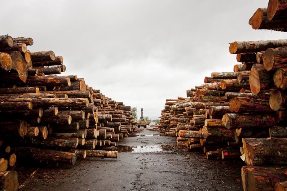 us hardwood industry disintegrates from trade war with china