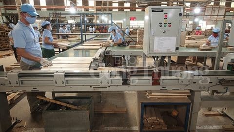 Applying technology to improve productivity and quality for wood processing industry