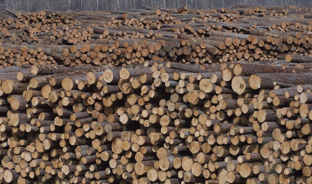 Logging industry to receive aid from new COVID-19 relief package