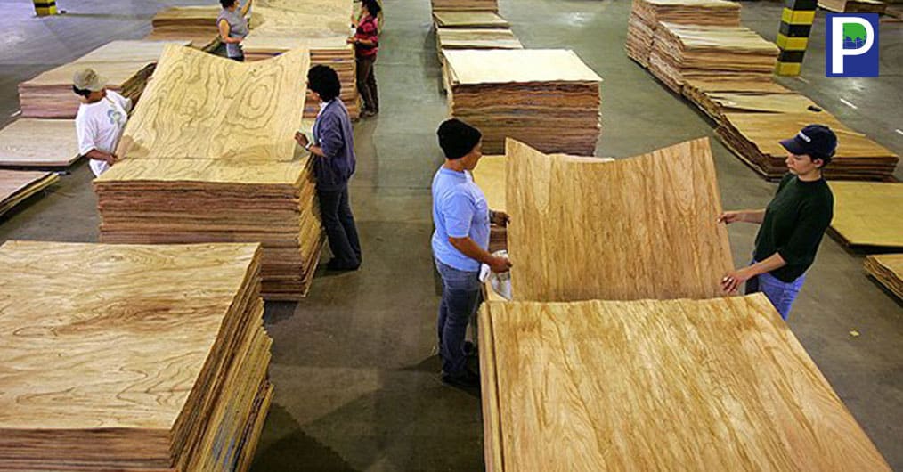 Chhattisgarh To Develop Plywood Industry In State