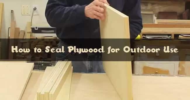 How to Seal Plywood for Outdoor Use?