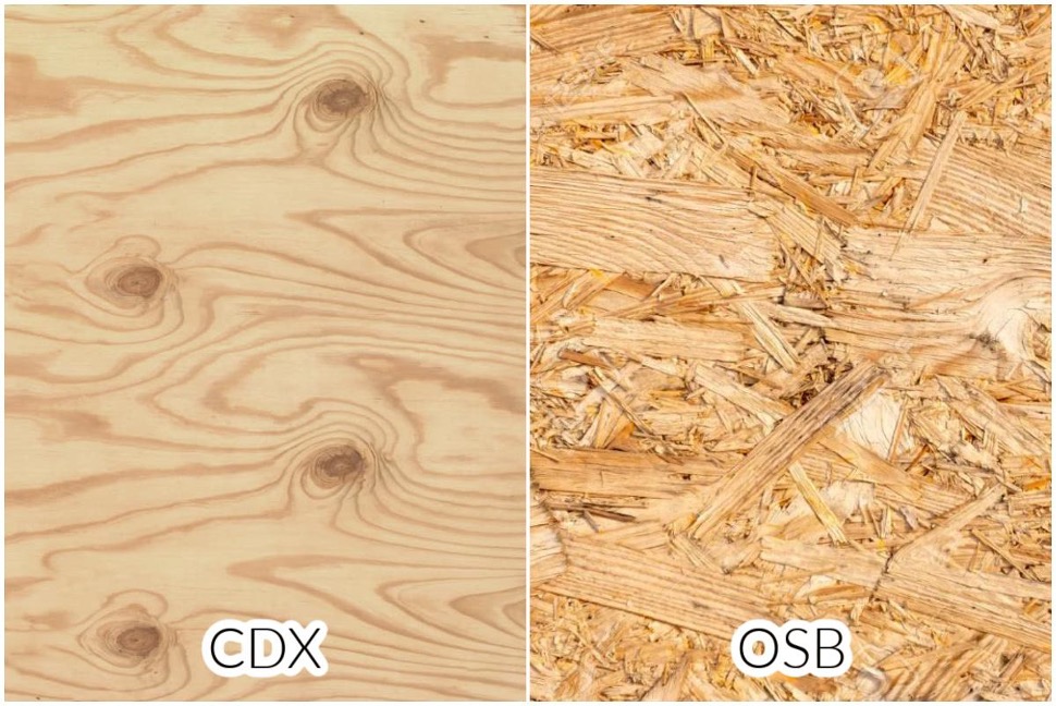 CDX plywood and OSB plywood