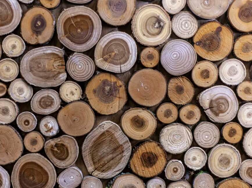 There are many different types of wood in the world