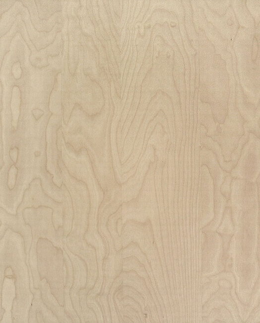The Birch’s surface is quite uniform and has a high aesthetic value