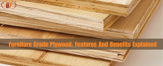 furniture grade plywood