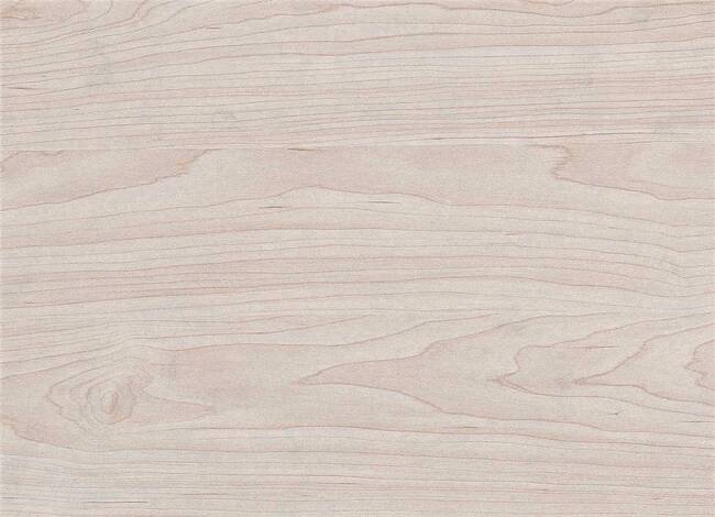 Maple plywood is highly regarded for its strength, durability, and aesthetic appeal
