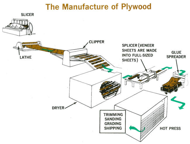The process of making plywood