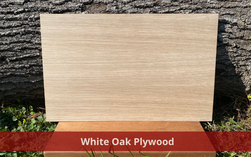 What are the best uses for white oak plywood?